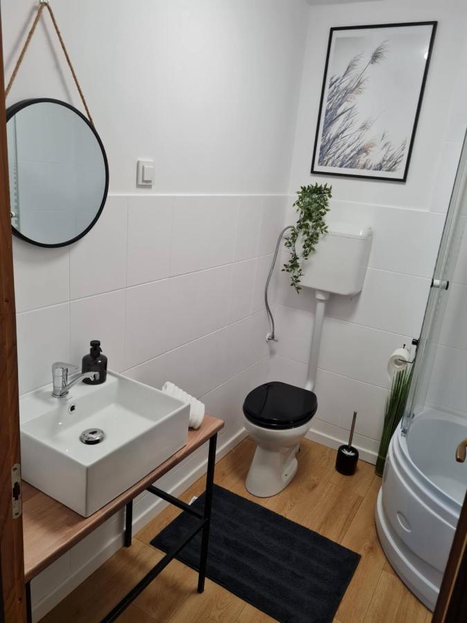 Bulevard Mansards Appartement Satu Mare