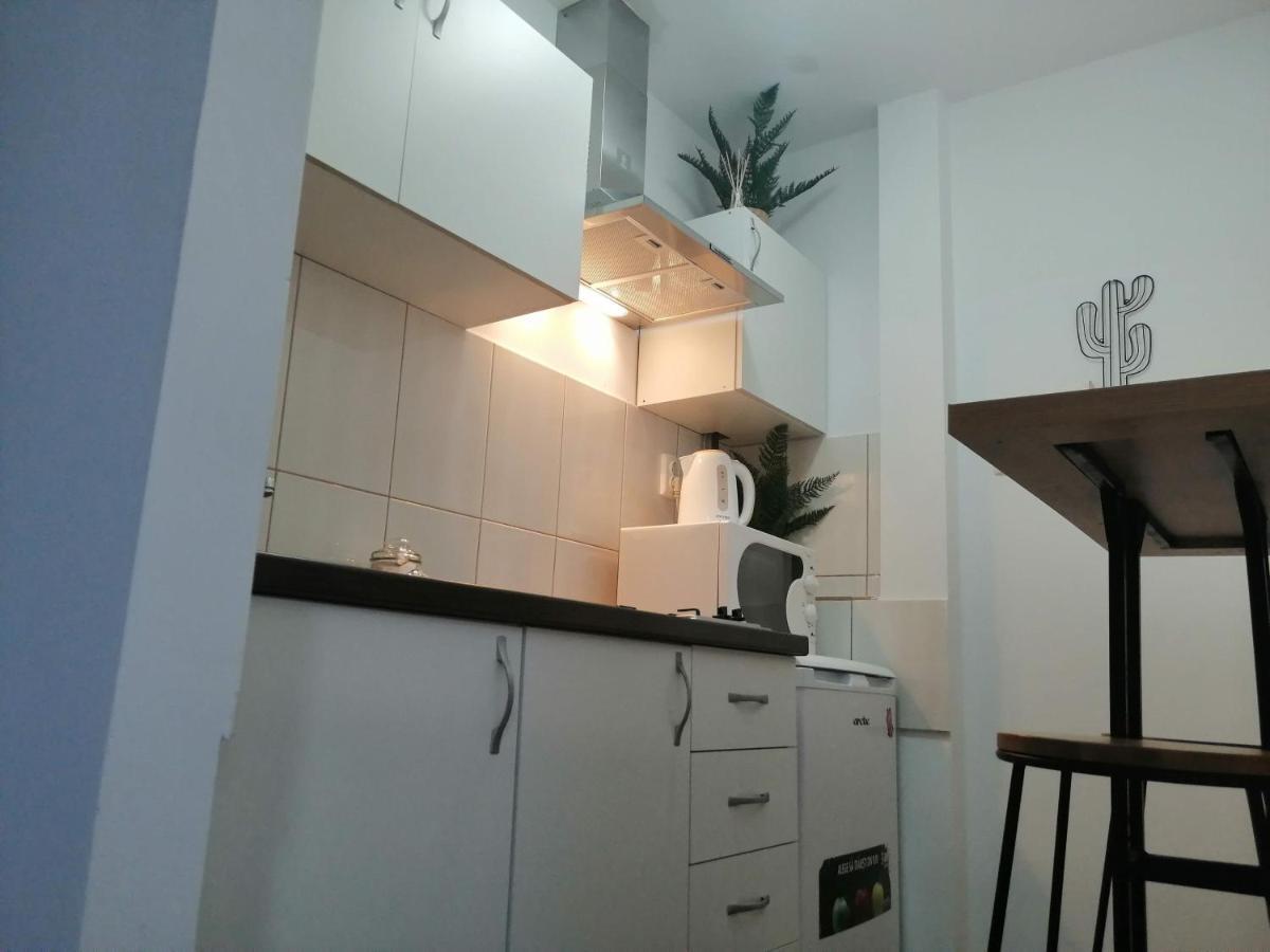 Bulevard Mansards Satu Mare